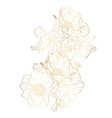 hand drawn summer golden set rustic anemones vector image