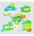 set of healthy organic food labels vector image