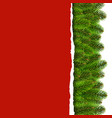 fir tree border with ripped paper vector image