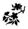 oriental cherry 4 vector image