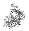 black and white owl vector image