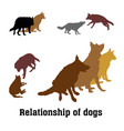 group of dogs vector image