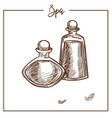 bottles full of oils for spa procedure monochrome vector image