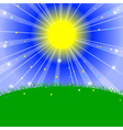 morning in the meadow vector image vector image