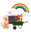 many animals and rainbow on white background vector image