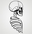 skull draw vector image