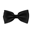 realistic black bow vector image
