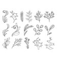 designer coloring elements set collection vector image