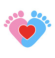 favorite baby legs girls and boy vector image