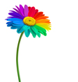 rainbow daisy flower background vector image vector image