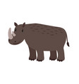 rhino grey safary animal icon vector image vector image
