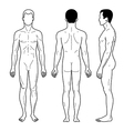 fashion man outlined template full length figure vector image