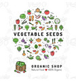 vegetable seeds banner organic shop natural vector image vector image