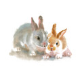 two cute rabbits on white background watercolor vector image