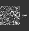 pear design template hand drawn garden fruit vector image