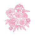 hand drawn floral decoration vector image