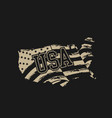 america grunge flag design vector image