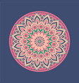 botanical mandala with abstract flower vector image vector image