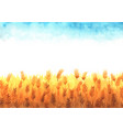 wheat field watercolor with clear sky background vector image