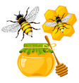 honey set vector image vector image