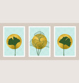 natural abstract botanical art set with gold foil vector image