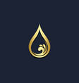 droplet water splash gold logo vector image