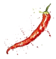 watercolor red chili pepper vector image