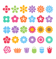 flower decorative set vector image