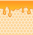 liquid honey background vector image