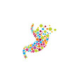 stomach care icon designs vector image