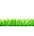 green grass vector image