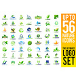 nature logo green leaf vector image