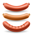 sausage set vector image