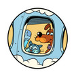 pet friendly plane departure from airport vector image