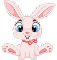cute baby rabbit cartoon sitting vector image