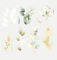 watercolor floral set - white flowers vector image