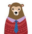 a cartoon portrait bear stylized grizzly vector image vector image