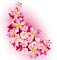 greeting card or invitation with floral background vector image