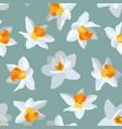 seamless pattern of narcissus vector image