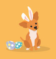dog as easter hare with eggs vector image