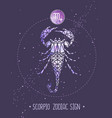 card with astrology scorpio zodiac sign vector image vector image