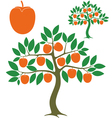 persimmon tree vector image vector image
