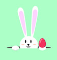 white easter rabbit bunny vector image