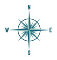 compass wind rose design vector image