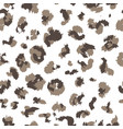 leopard pattern design vector image