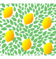seamless leaves pattern with fresh lemon vector image