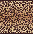 leopard seamless pattern imitation skin vector image