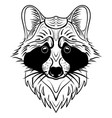 sketch raccoon face hand drawn doodle vector image