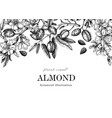 almond blossom banner design in engraved style vector image vector image