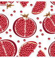 seamless texture of pomegranate vector image